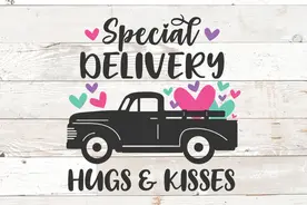 快递是叫special delivery吗？图片