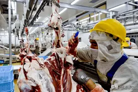 阿根廷75%的牛肉订单来自中国，现却停止出口？网友：美国的功劳图片