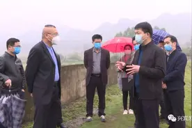 兴宾区规划建设300兆瓦渔光互补光伏电站项目图片