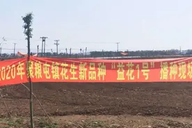 2020年聚粮屯镇花生新品种“益花1号”播种现场会举行图片