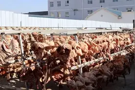 江苏一院子挂满4000猪头成新闻，三大因素谈如何看待这一现象图片