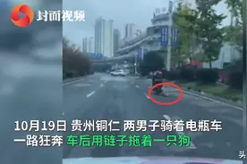 贵州铜仁  两男子骑电瓶车拖行大狗2公里 画面极其残忍令人愤怒图片