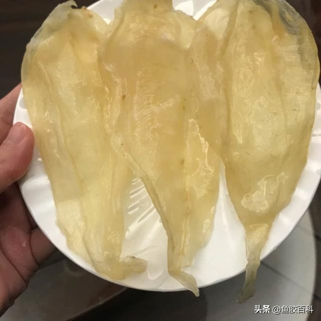 白花胶真假怎么判断 2026年白花胶真假怎么判断视频