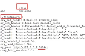 解决nginx多负载下+tomcat部署项目会话路径改变导致的401问题图片