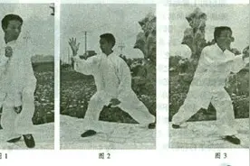 心意六合拳秘传十二大势图片