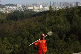 当兵6年5次立功，越战老兵退伍后义务巡山40年，守护侨乡石狮绿肺图片