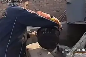 乒乓球队是欢乐喜剧人吧，陈玘被罚下乡喂猪，张继科取关刘国梁图片