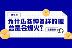 冷知识丨为什么各种各样的“梗”，总是会爆火？图片