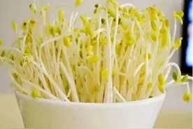 黄豆芽PK绿豆芽，谁更胜一筹？图片