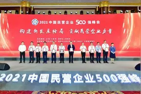 东投集团荣登“2021中国民营企业500强”图片