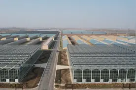 晋中市太谷区：项目建设的“速度与激情”图片