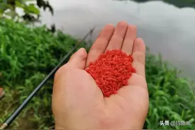 这3种“非常规”的打窝方式，在野钓中却经常能钓到大鱼图片