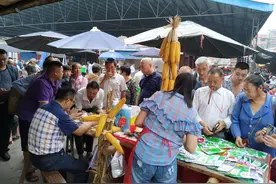 到处都宣传大棒、高产！到底玉米种子该怎么选？这几点小窍门帮你图片