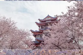 壁纸｜城市喧嚣，回头看看我图片