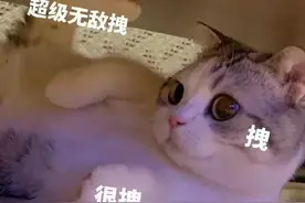 老师办公室见过的窒息操作图片