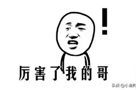 拿地五天火速报建！岛内豪宅大战来了图片