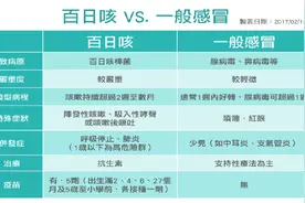 宝宝反复咳嗽？谨防小儿百日咳图片