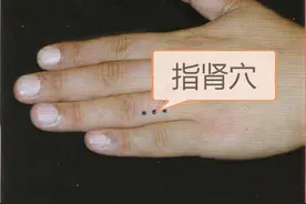 中医健康养生之人体手部穴位指肾穴图片