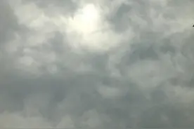物种的起源图片