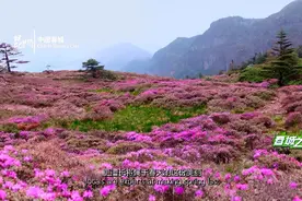 COP15的开幕式和冷餐会，上演了什么？图片