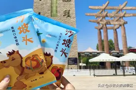 宁夏沙坡头丨沙漠萌宠“骆驼雪糕”可爱“出征”-----萌翻激情夏日图片
