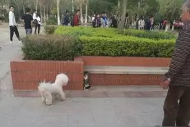 小猫咪：吓坏宝宝啦图片