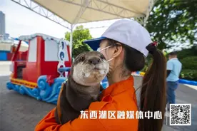 “来看我吧  ” 武汉海昌极地海洋公园开园！图片
