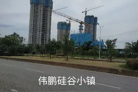 产城结合之悄然布局光谷东左岭图片