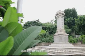 这条海堤，厦门人的“愚公移山”图片