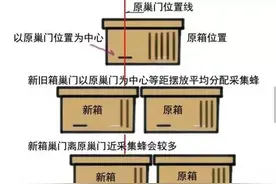 中蜂人工分蜂的5种方法图片