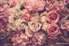 绿植鲜花养不活？摧花辣手一年养花经验总结（绿植/鲜花/干花）图片