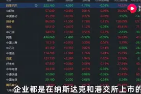 金融危机后崛起的美团，背后的金主是谁？西瓜视频带你揭秘图片