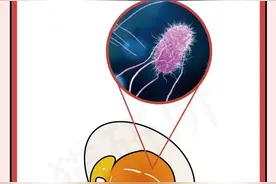 一张图学会预防4类人猫共患病图片