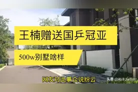 又一奥运健儿王曼昱获赠豪宅！总价600万以上，并为父母提供工作图片