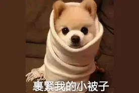 我把你抱在怀里，你居然炸了！图片