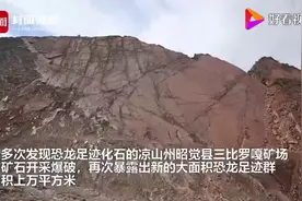 震撼！凉山这地方发现大规模恐龙足迹群视频封面