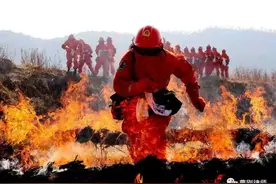 判决：消防员与消防支队之间不属于劳动关系，驳回诉讼请求图片