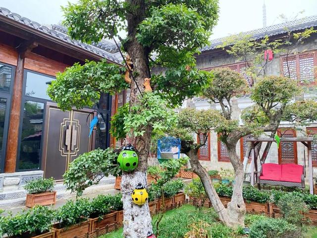 甲鱼石斛可以和花胶一起煲吗 2026年甲鱼可以和石斛一起炖吗