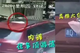 绍兴:粉色内裤遮挡号牌被举报，结局反转图片