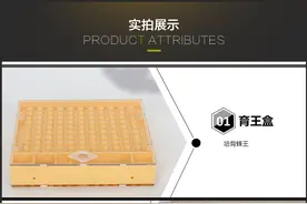 人工育王的2种不同方法，“免移虫器”和“移虫育王”的实用技巧图片