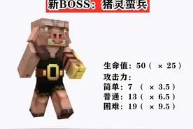 《我的世界》1.16.2预发布！新BOSS猪灵蛮兵加入，新增绿色视角？图片
