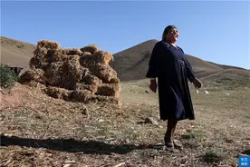 我是哈萨克牧民，生活在天山脚下，有二百只羊 年收入十二万图片