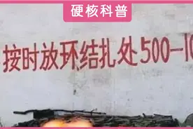 一部避孕史，就是一部妇女迫害史：中国女性的子宫自由有多难？图片
