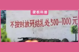 一部避孕史，就是一部妇女迫害史：中国女性的子宫自由有多难？图片