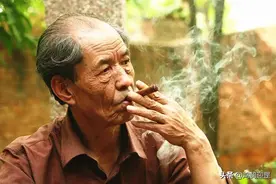 《白鹿原》里郭举人吃泡枣，《废都》庄之蝶吃泡梅李，写这些何用图片