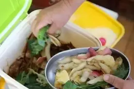 居家盆栽植物用啥当肥料不加剧土壤负担？这样自制肥，无害图片