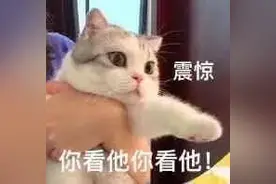闻过猫屁的人，都看不起炫耀自己能吃螺蛳粉、臭豆腐的人图片