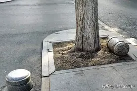 快看！拆了图片