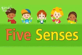 主题英语口语：五种感官Kids vocabulary - Five Senses图片