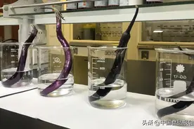 宁波镇海市场监管局破解茄子加色素谜团图片